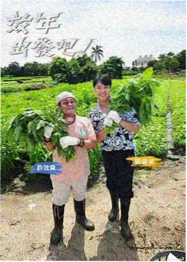 一起做饭吧 综艺速看